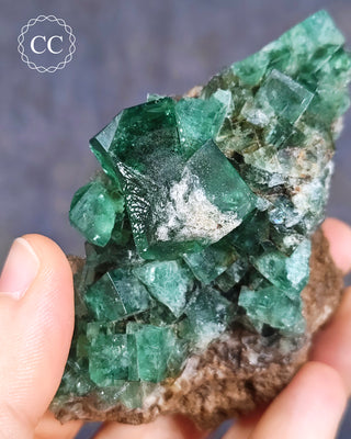 Diana Maria Fluorite #2