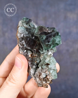Diana Maria Fluorite #4
