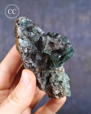 Diana Maria Fluorite #4