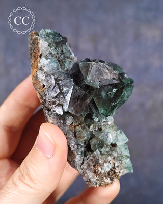 Diana Maria Fluorite #4