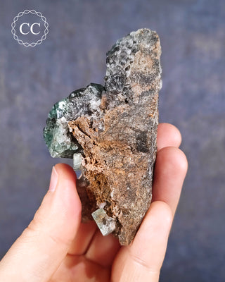 Diana Maria Fluorite #4