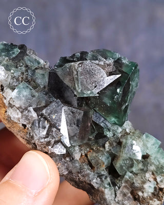 Diana Maria Fluorite #4