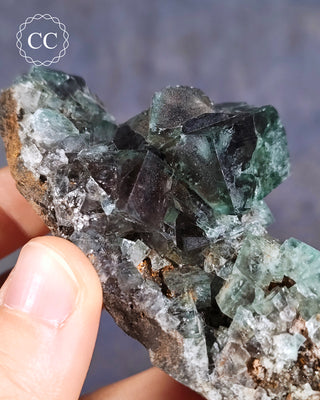 Diana Maria Fluorite #4