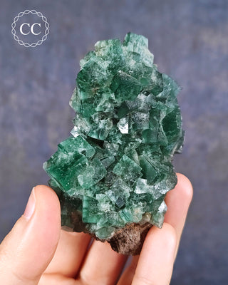 Diana Maria Fluorite #1