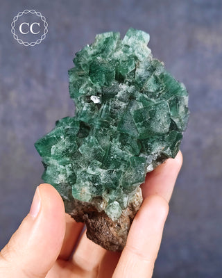 Diana Maria Fluorite #1