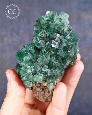 Diana Maria Fluorite #1