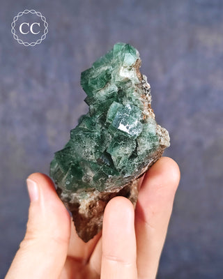 Diana Maria Fluorite #1