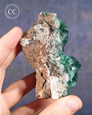 Diana Maria Fluorite #1