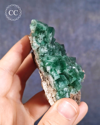 Diana Maria Fluorite #1