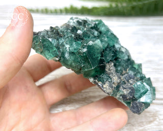 Diana Maria Fluorite #12
