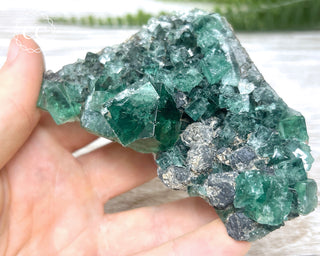 Diana Maria Fluorite #12