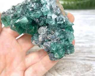 Diana Maria Fluorite #12