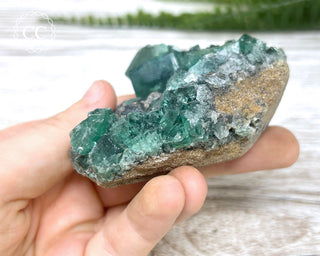 Diana Maria Fluorite #12