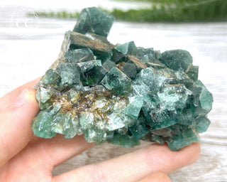 Diana Maria Fluorite #13