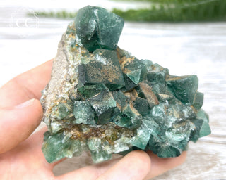 Diana Maria Fluorite #13