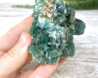 Diana Maria Fluorite #13