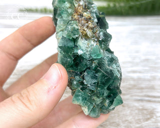 Diana Maria Fluorite #13