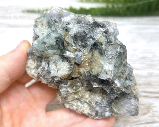 Diana Maria Fluorite #3