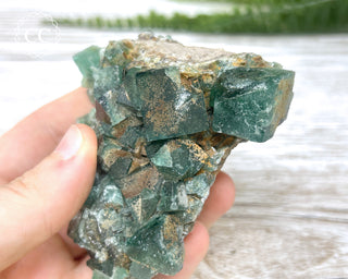 Diana Maria Fluorite #13