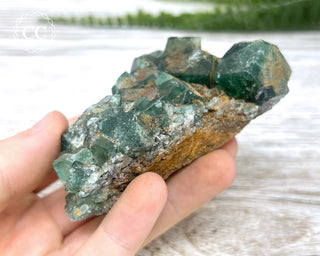 Diana Maria Fluorite #13