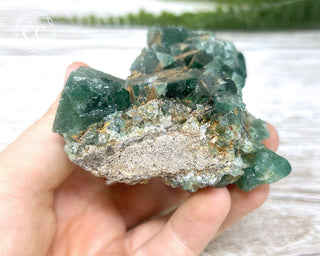 Diana Maria Fluorite #13