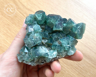 Diana Maria Fluorite #4