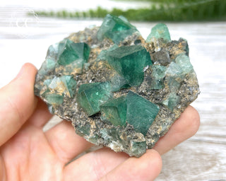 Diana Maria Fluorite #15