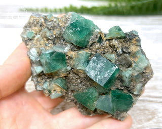 Diana Maria Fluorite #15