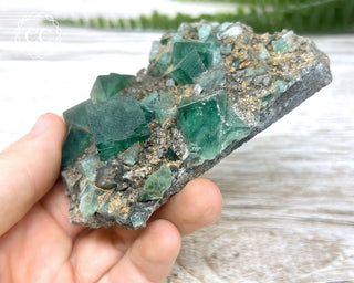 Diana Maria Fluorite #15