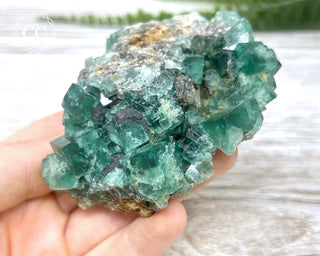Diana Maria Fluorite #16