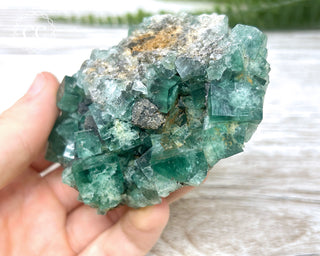 Diana Maria Fluorite #16