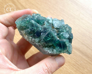 Diana Maria Fluorite #4