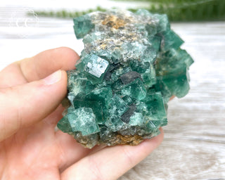 Diana Maria Fluorite #16