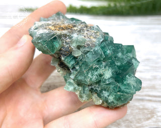 Diana Maria Fluorite #16