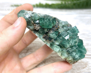 Diana Maria Fluorite #16