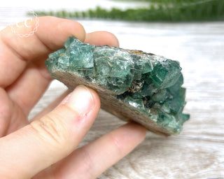 Diana Maria Fluorite #16