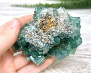 Diana Maria Fluorite #16