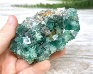 Diana Maria Fluorite #16