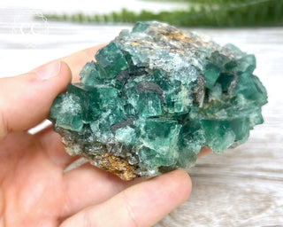Diana Maria Fluorite #16