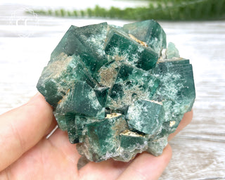 Diana Maria Fluorite #17