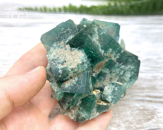Diana Maria Fluorite #17