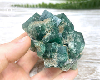 Diana Maria Fluorite #17