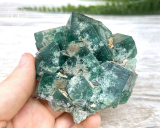 Diana Maria Fluorite #17