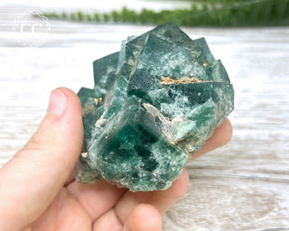 Diana Maria Fluorite #17