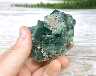 Diana Maria Fluorite #17