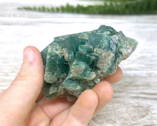 Diana Maria Fluorite #17