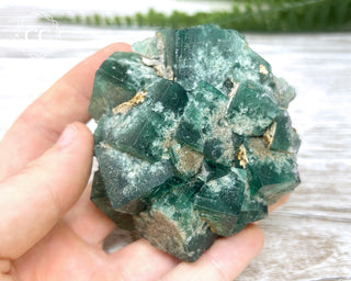 Diana Maria Fluorite #17