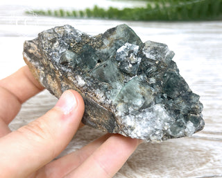 Diana Maria Fluorite #18