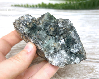 Diana Maria Fluorite #18