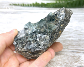Diana Maria Fluorite #18